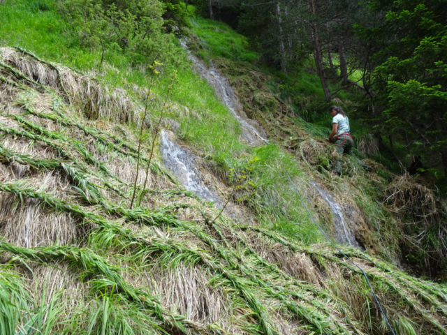 2xfux, Elisabeth Fux Mattig, Silvia Fux, Gebändigt?, Gras flechten, Twingi Land Art, landart, 2020