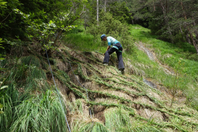 2xfux, Elisabeth Fux Mattig, Silvia Fux, Gebändigt?, Gras flechten, Twingi Land Art, landart, 2020