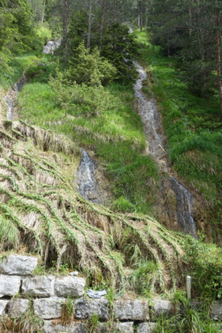 2xfux, Elisabeth Fux Mattig, Silvia Fux, Gebändigt?, Gras flechten, Twingi Land Art, landart, 2020